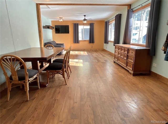 dining area featuring light hardwood / wood-style floors and ceiling fan