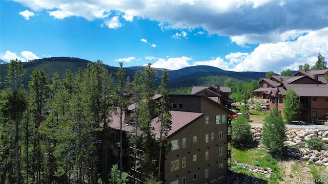 121 Elk Trl Unit 6, Winter Park, CO 80482 - photo 5