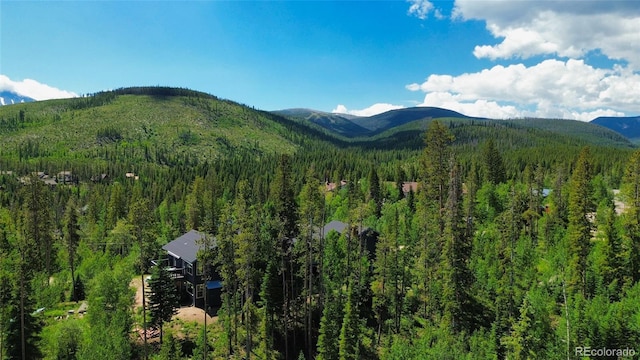 121 Elk Trl Unit 6, Winter Park, CO 80482 - photo 7