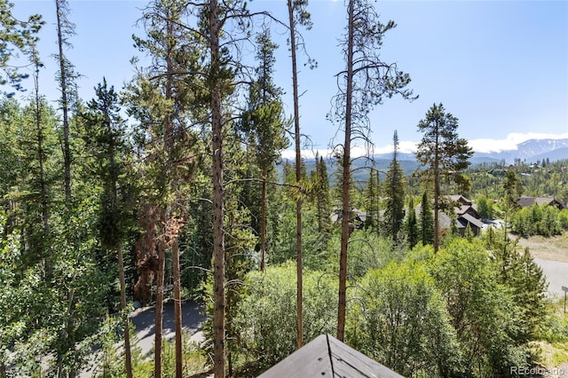 121 Elk Trl Unit 6, Winter Park, CO 80482 - photo 37