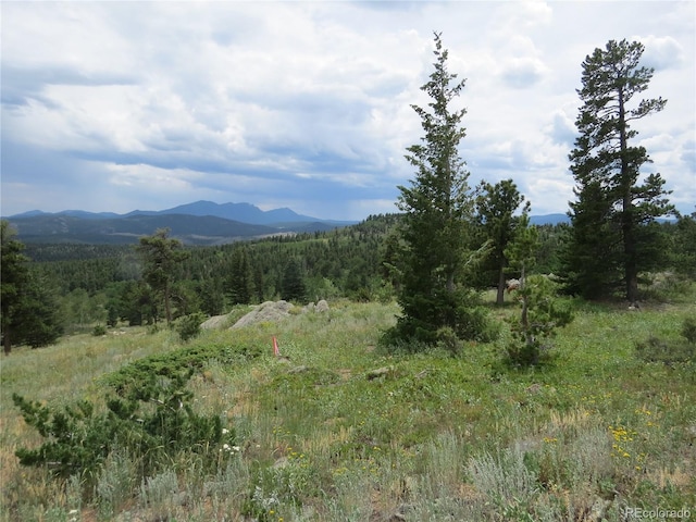 Peak To Peak Hwy, Nederland, CO 80466 - photo 1
