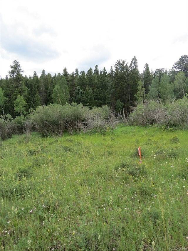 Peak To Peak Hwy, Nederland, CO 80466 - photo 2