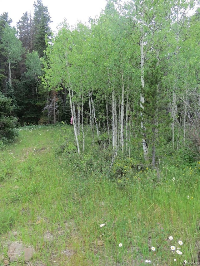 Peak To Peak Hwy, Nederland, CO 80466 - photo 3