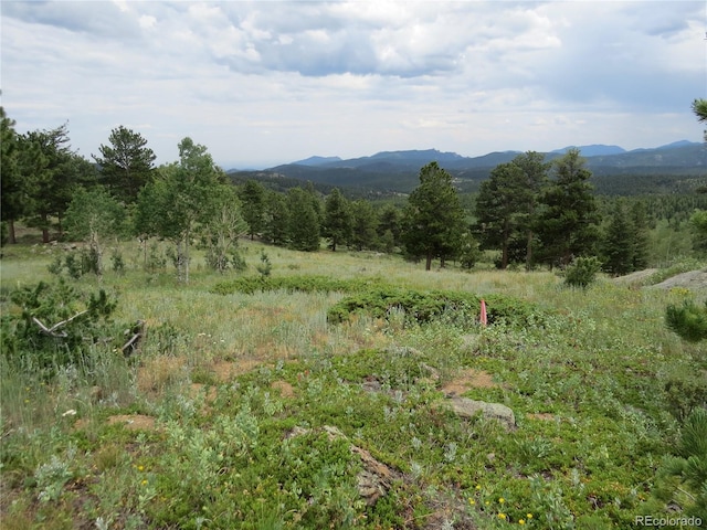 Peak To Peak Hwy, Nederland, CO 80466 - photo 4