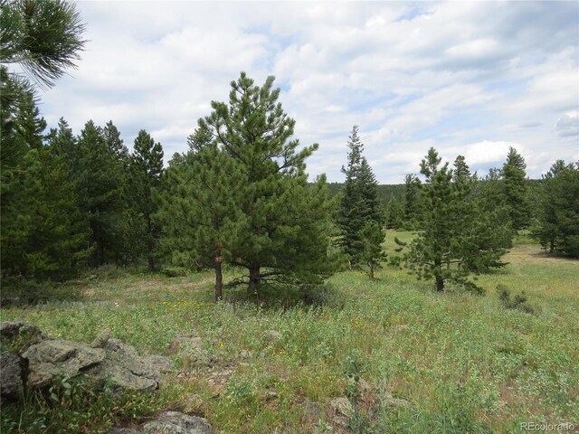 Peak To Peak Hwy, Nederland, CO 80466 - photo 5