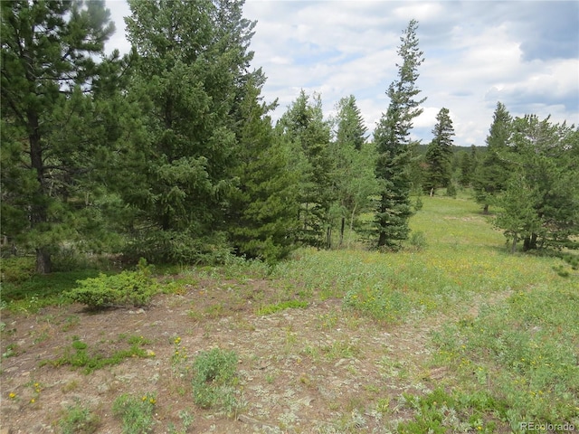 Peak To Peak Hwy, Nederland, CO 80466 - photo 6