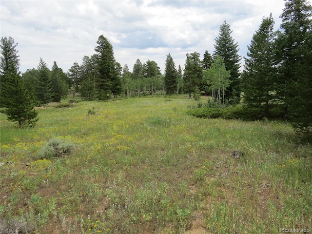 Peak To Peak Hwy, Nederland, CO 80466 - photo 8