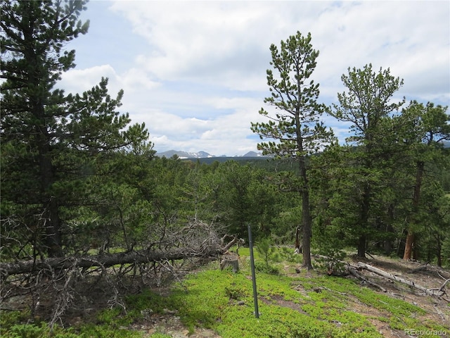 Peak To Peak Hwy, Nederland, CO 80466 - photo 9