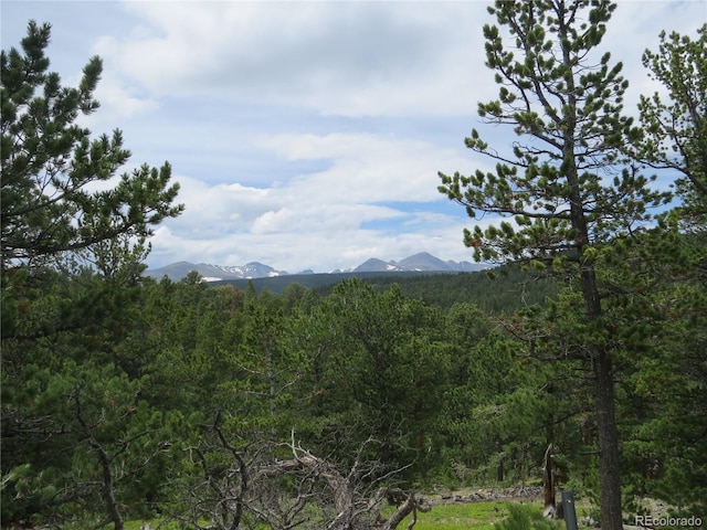 Peak To Peak Hwy, Nederland, CO 80466 - photo 10