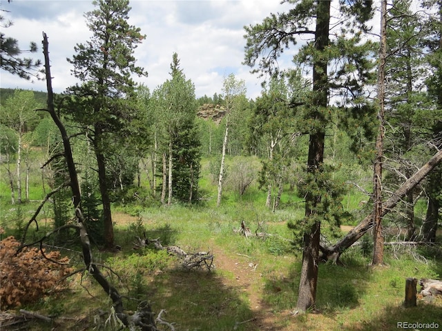 Peak To Peak Hwy, Nederland, CO 80466 - photo 11