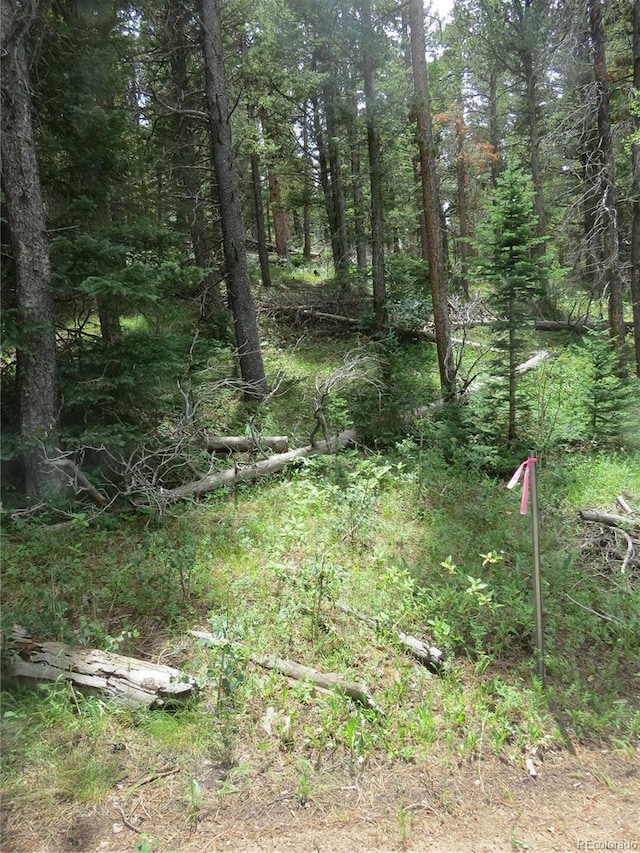Peak To Peak Hwy, Nederland, CO 80466 - photo 12