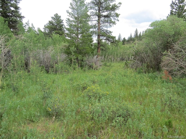 Peak To Peak Hwy, Nederland, CO 80466 - photo 13