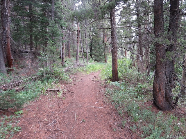 Peak To Peak Hwy, Nederland, CO 80466 - photo 14