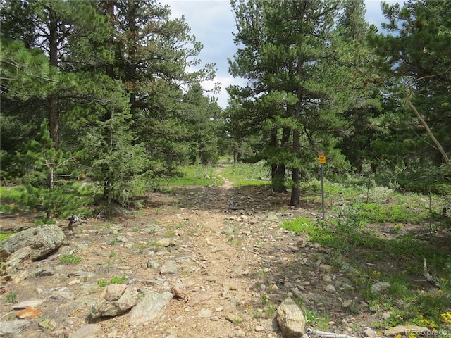 Peak To Peak Hwy, Nederland, CO 80466 - photo 16