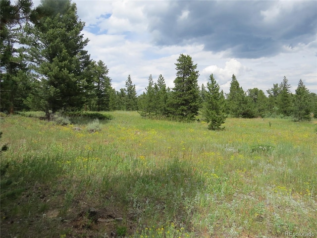 Peak To Peak Hwy, Nederland, CO 80466 - photo 17