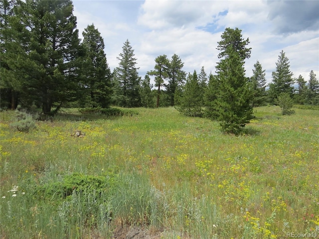 Peak To Peak Hwy, Nederland, CO 80466 - photo 18