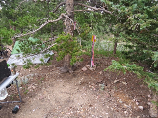Peak To Peak Hwy, Nederland, CO 80466 - photo 19