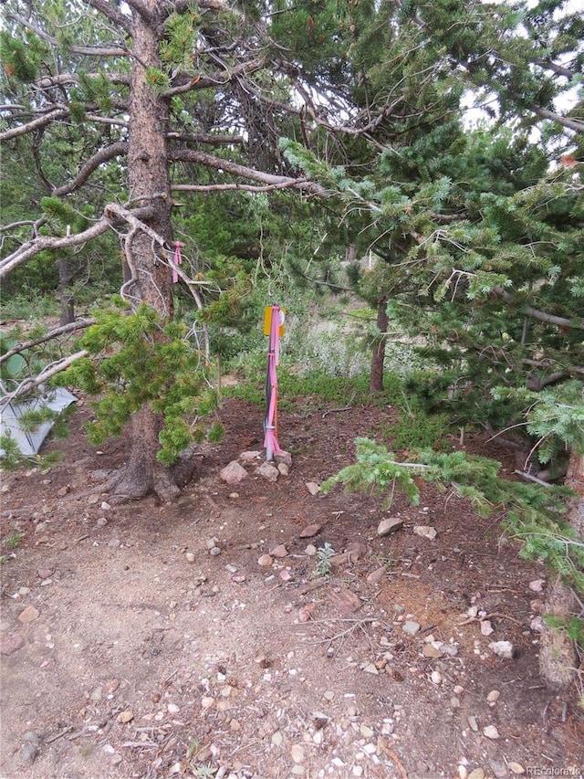 Peak To Peak Hwy, Nederland, CO 80466 - photo 20