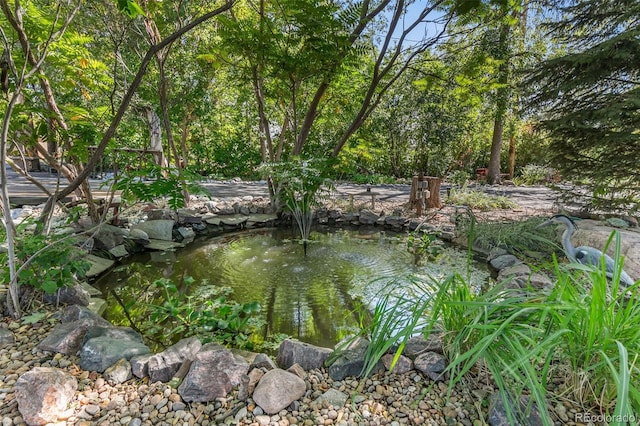 6480 W 60th Ave, Arvada, CO 80003 - view of undeveloped land with a garden pond
