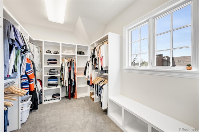 walk in closet with carpet