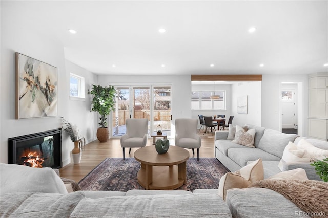 living room with light hardwood / wood-style flooring