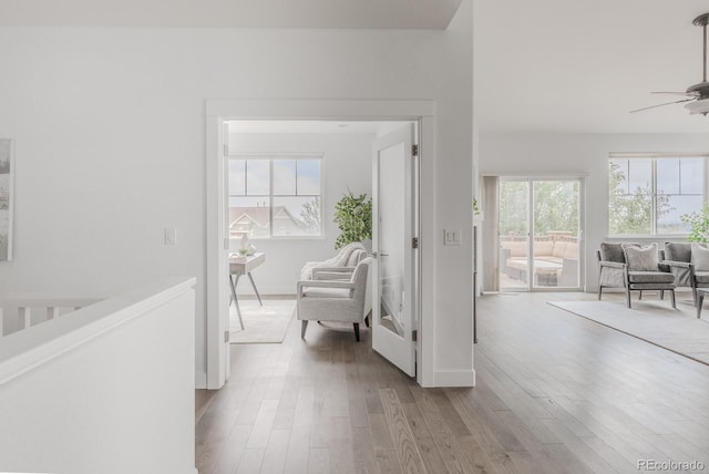17891 W 77th Dr, Arvada, CO 80007 - photo 20