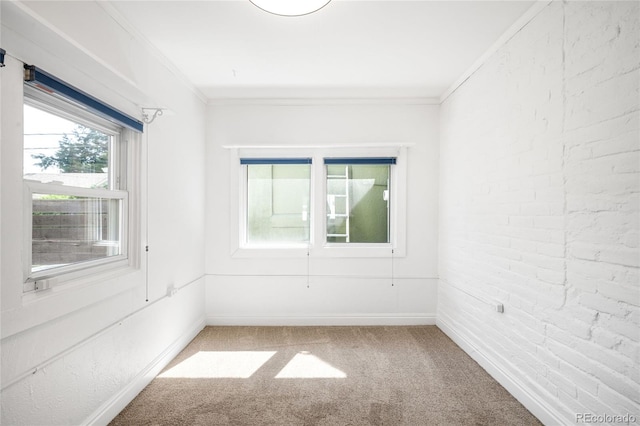 3375 W 37th Ave, Denver, CO 80211 - empty room with light carpet, crown molding, and baseboards