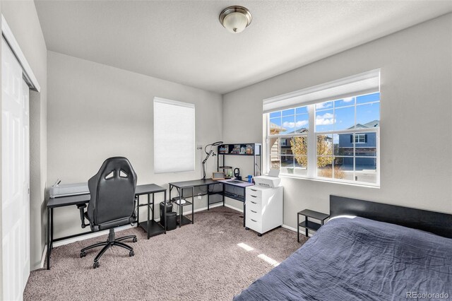 5996 Sun Mesa Cir, Castle Rock, CO 80104 - bedroom featuring carpet flooring and baseboards