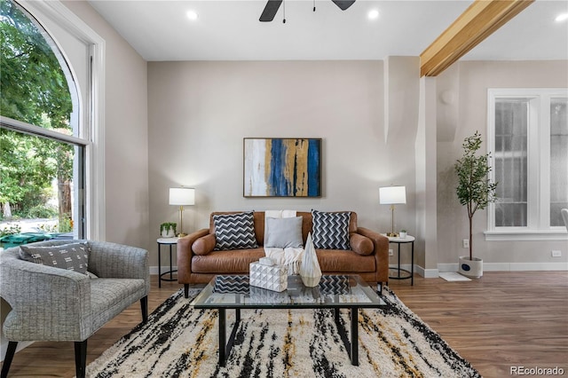 living room featuring ceiling fan and wood-type flooring