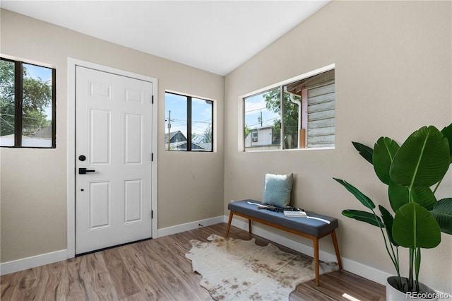 entrance foyer with hardwood / wood-style flooring