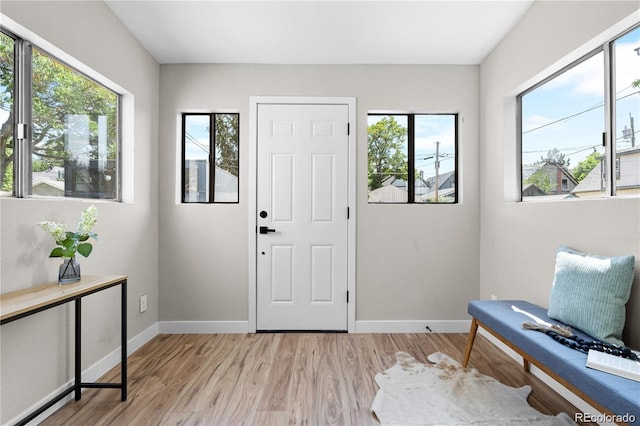 entrance foyer featuring light hardwood / wood-style flooring and a wealth of natural light