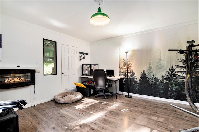 office space featuring ornamental molding and wood-type flooring