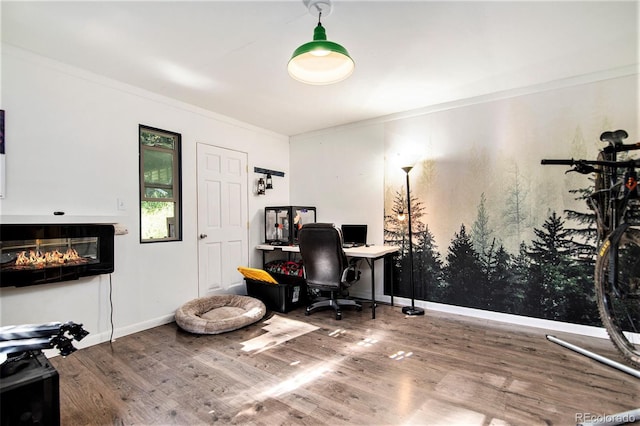28192 Shadow Mountain Dr, Conifer, CO 80433 - office space with wood finished floors, a glass covered fireplace, ornamental molding, and baseboards