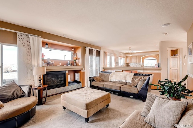 20341 E 48th Pl, Denver, CO 80249 - living area with plenty of natural light, a glass covered fireplace, and light carpet