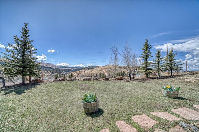 224 W Warren Ave, Cripple Creek, CO 80813 - view of grassy yard