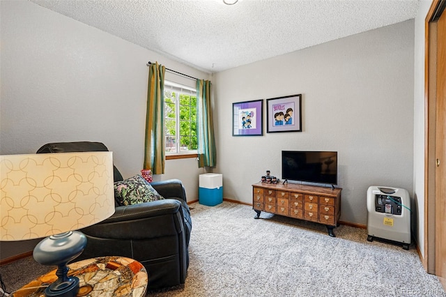 13313 Cherry Cir, Thornton, CO 80241 - sitting room featuring carpet floors, a textured ceiling, and baseboards