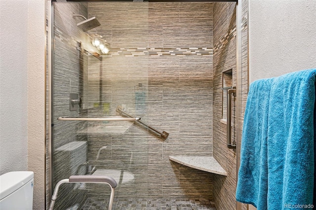 13313 Cherry Cir, Thornton, CO 80241 - bathroom with toilet and a stall shower