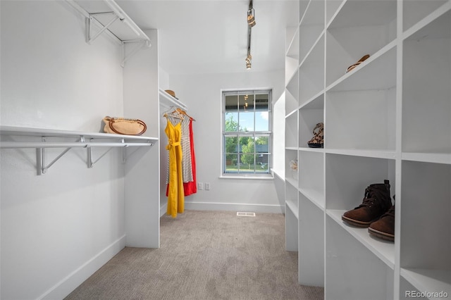spacious closet featuring carpet flooring