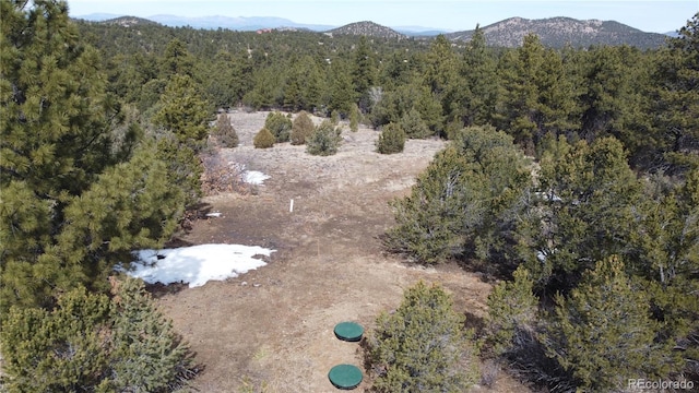 130 Bear Peak Rd, Westcliffe CO, 81252 land for sale