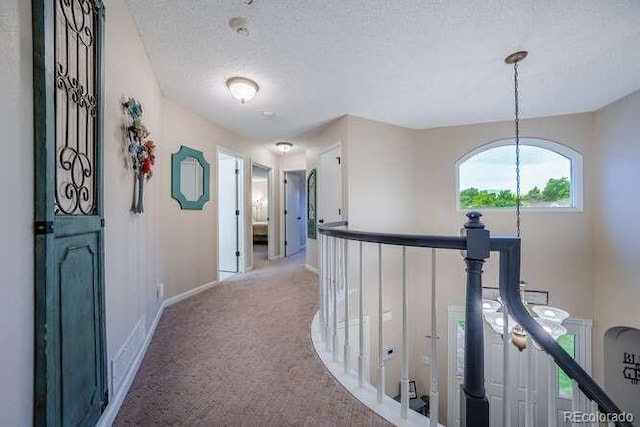 7176 S Pierson St, Littleton, CO 80127 - photo 16