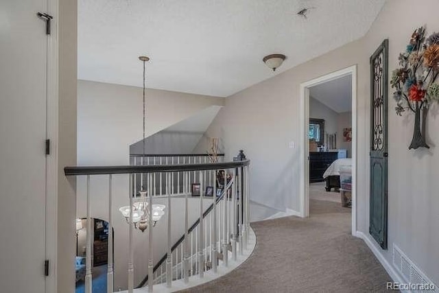 7176 S Pierson St, Littleton, CO 80127 - photo 17