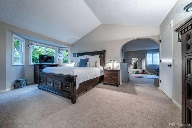 7176 S Pierson St, Littleton, CO 80127 - photo 18