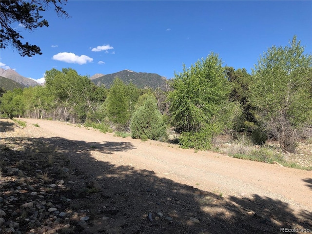 3821 Virtue Way, Crestone, CO 81131 - photo 4
