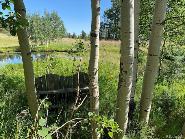 view of landscape with a water view