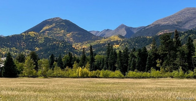 view of mountain feature