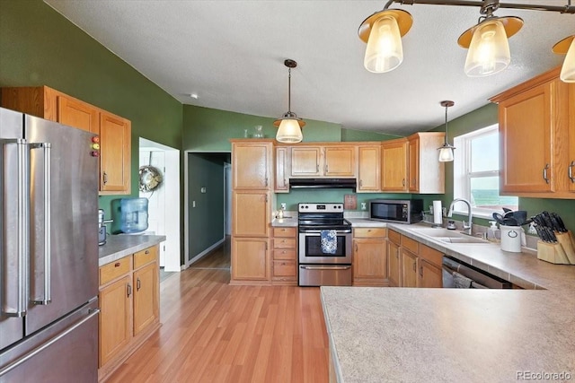 3316 Carlson Rd, Rye, CO 81069 - kitchen with stainless steel appliances, under cabinet range hood, light wood finished floors, hanging light fixtures, and lofted ceiling