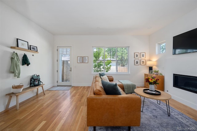 2571 S Cherokee St, Denver, CO 80223 - living room featuring light wood-style flooring and a glass covered fireplace