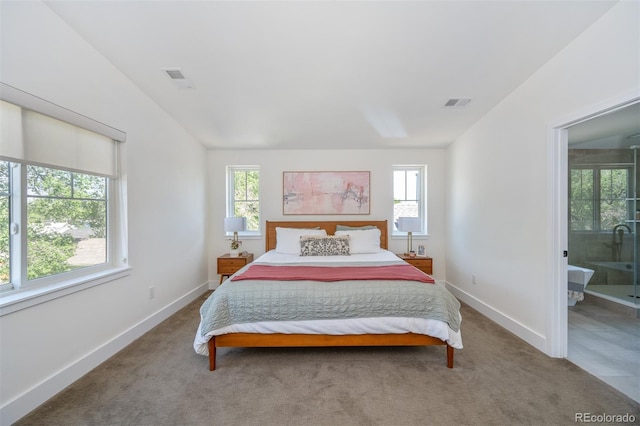 2571 S Cherokee St, Denver, CO 80223 - carpeted bedroom with multiple windows