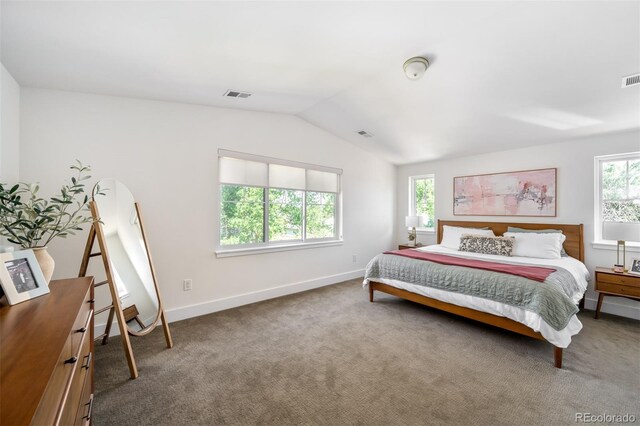 2571 S Cherokee St, Denver, CO 80223 - bedroom with lofted ceiling and carpet flooring