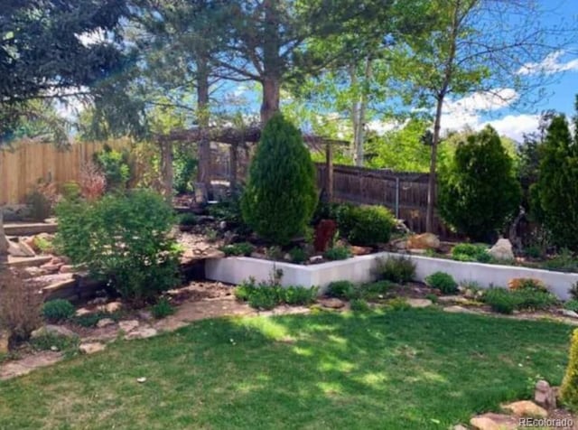 5298 Pony Creek Cir, Colorado Springs, CO 80919 - view of yard